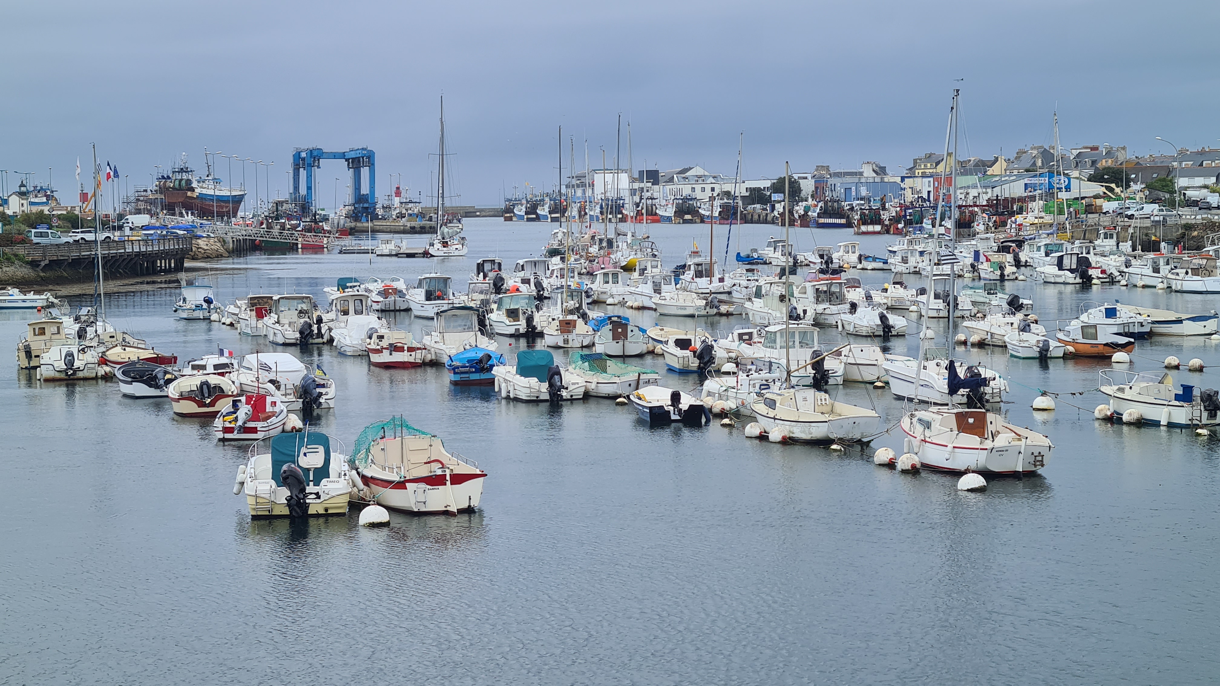 20220905_135042.jpg 20220905_135042.jpg