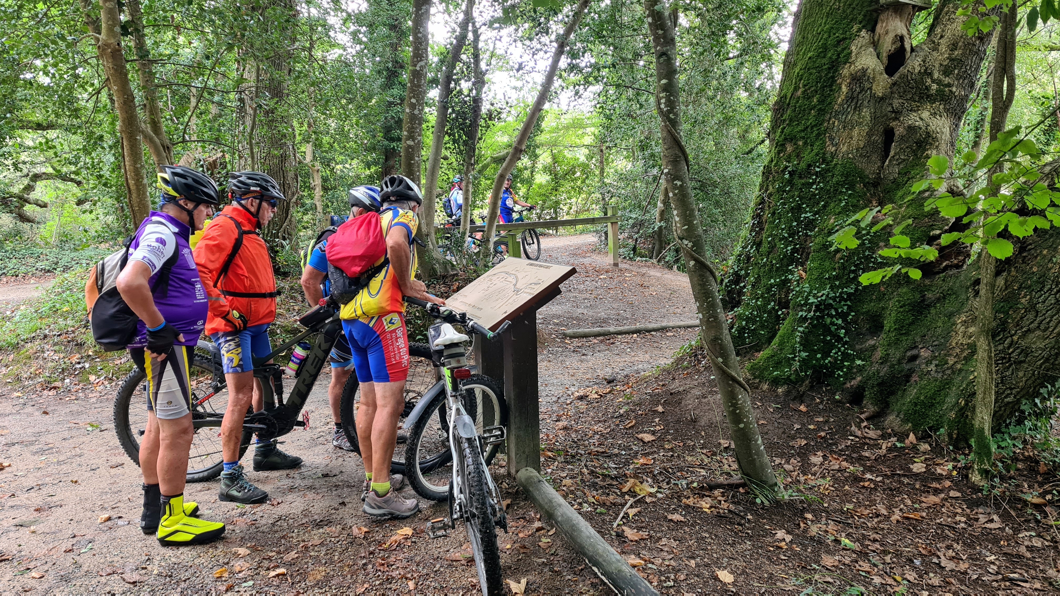 20220906_120925~2.jpg 20220906_120925~2.jpg