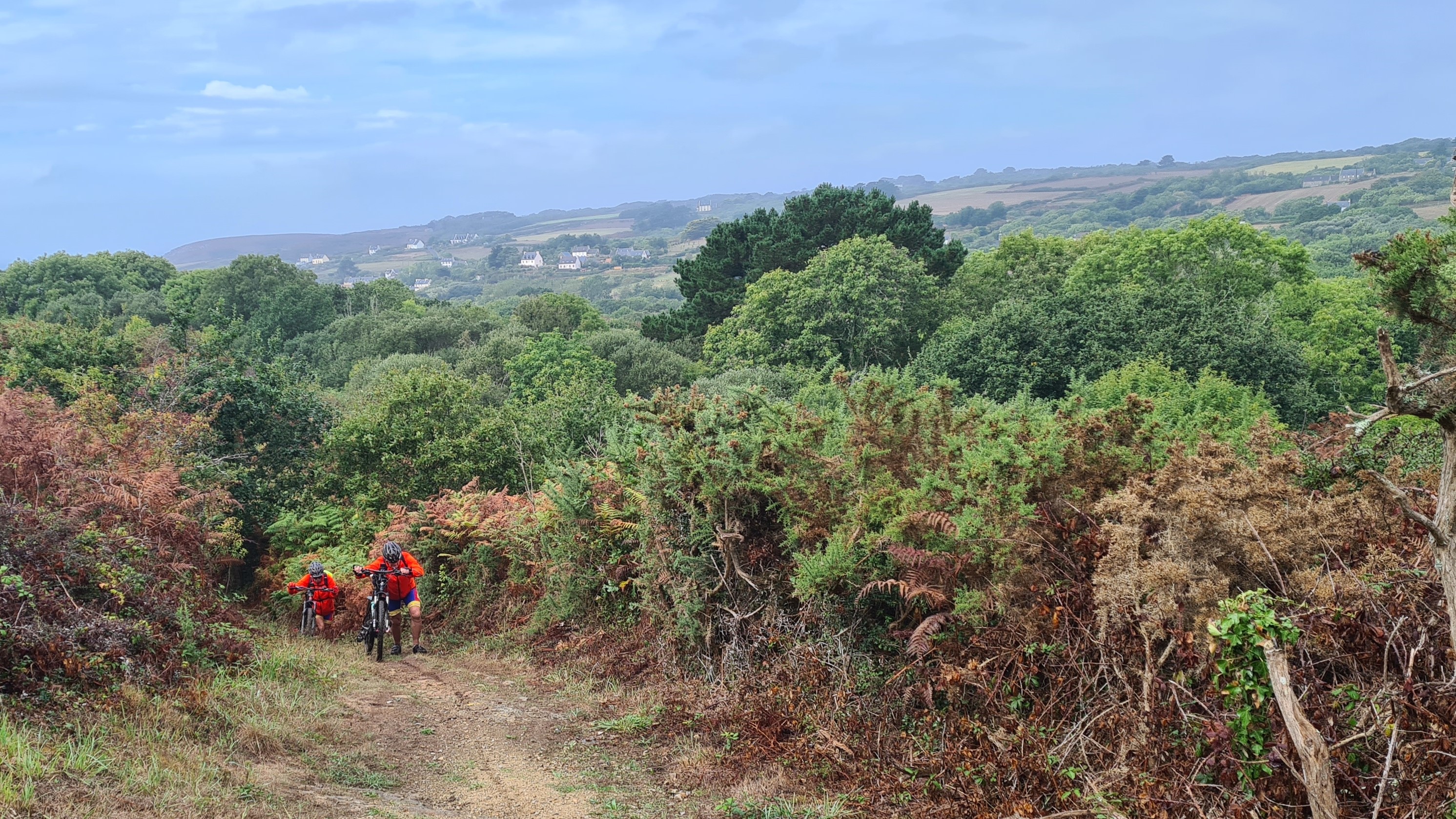 20220904_144455.jpg 20220904_144455.jpg