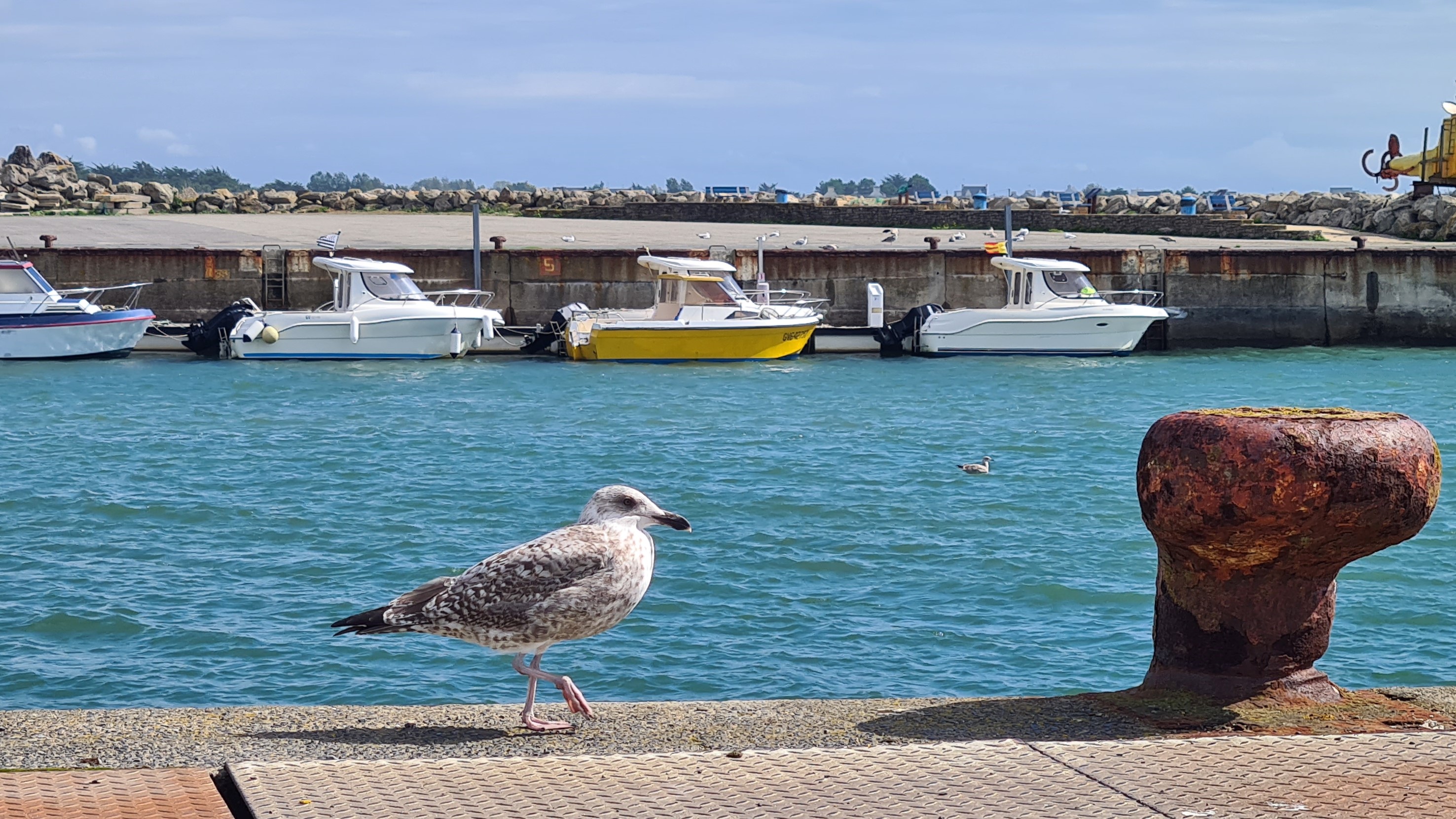 20220905_123516.jpg 20220905_123516.jpg